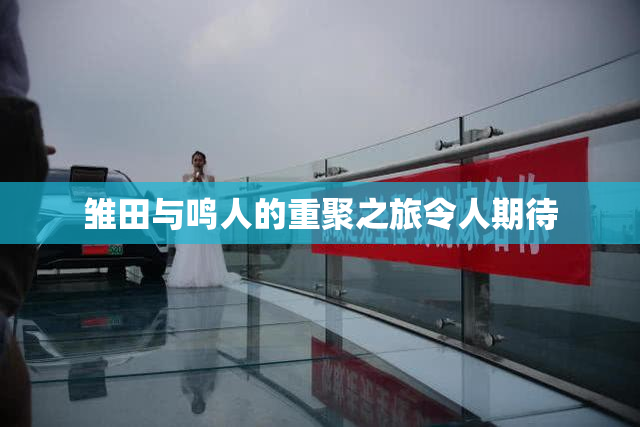 雏田与鸣人的重聚之旅令人期待