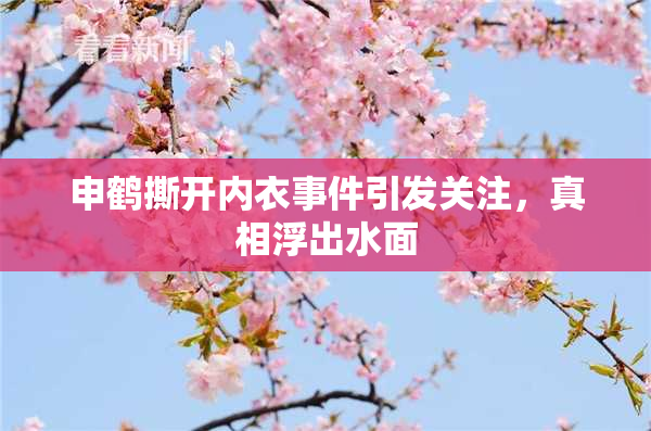 申鹤撕开内衣事件引发关注，真相浮出水面