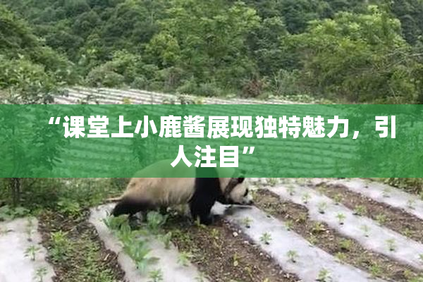 “课堂上小鹿酱展现独特魅力，引人注目”