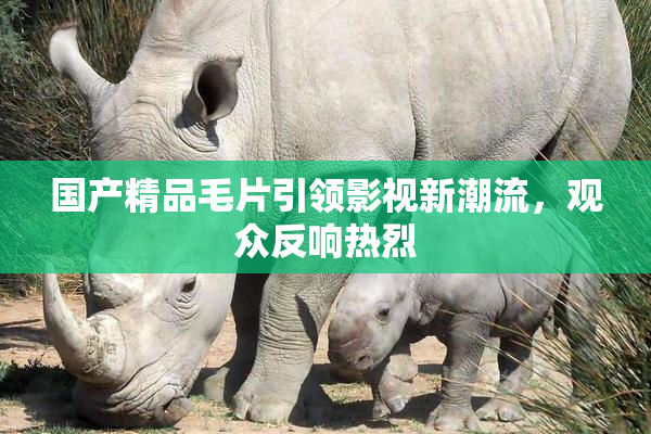 国产精品毛片引领影视新潮流，观众反响热烈