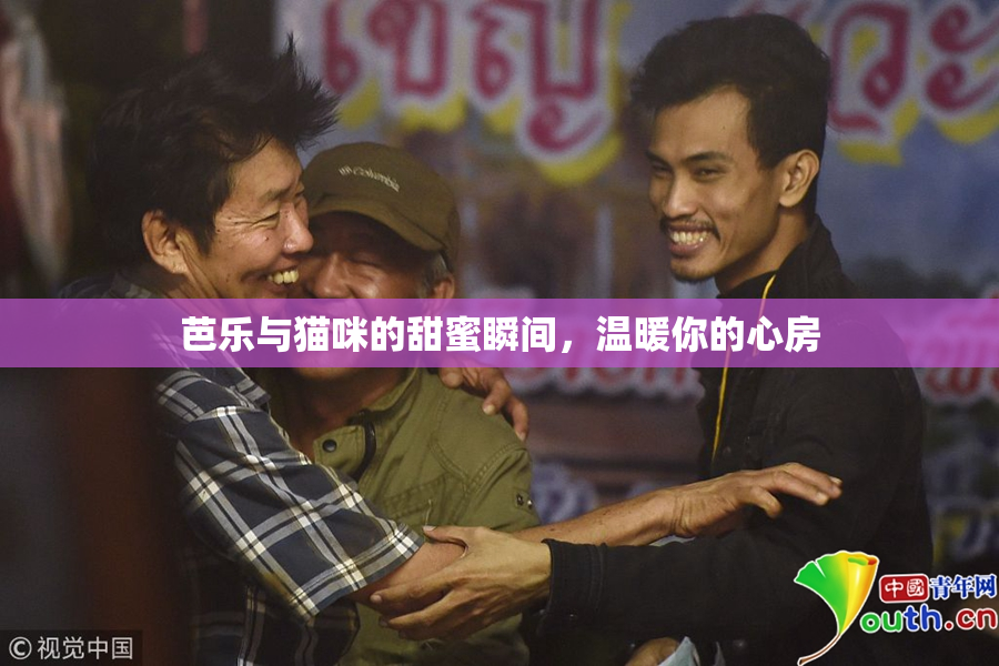 芭乐与猫咪的甜蜜瞬间，温暖你的心房