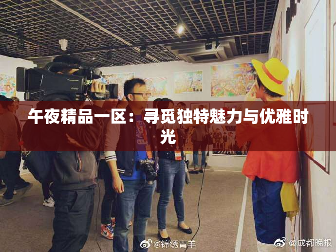 午夜精品一区：寻觅独特魅力与优雅时光