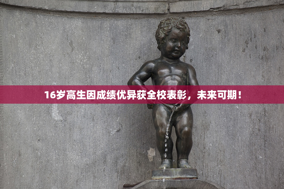 16岁高生因成绩优异获全校表彰，未来可期！