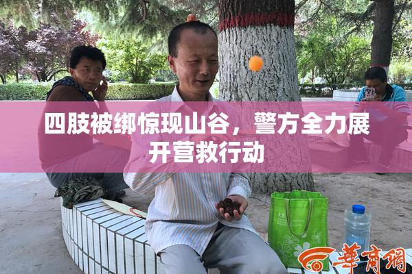 四肢被绑惊现山谷，警方全力展开营救行动