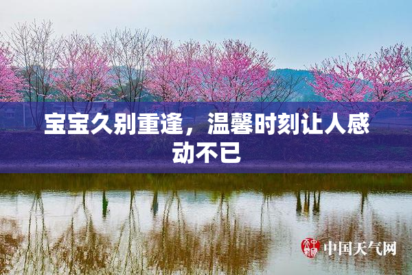宝宝久别重逢，温馨时刻让人感动不已