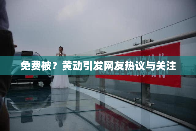 免费被？黄动引发网友热议与关注