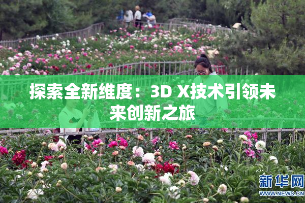 探索全新维度：3D X技术引领未来创新之旅