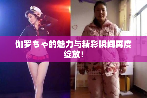 伽罗ちゃ的魅力与精彩瞬间再度绽放！