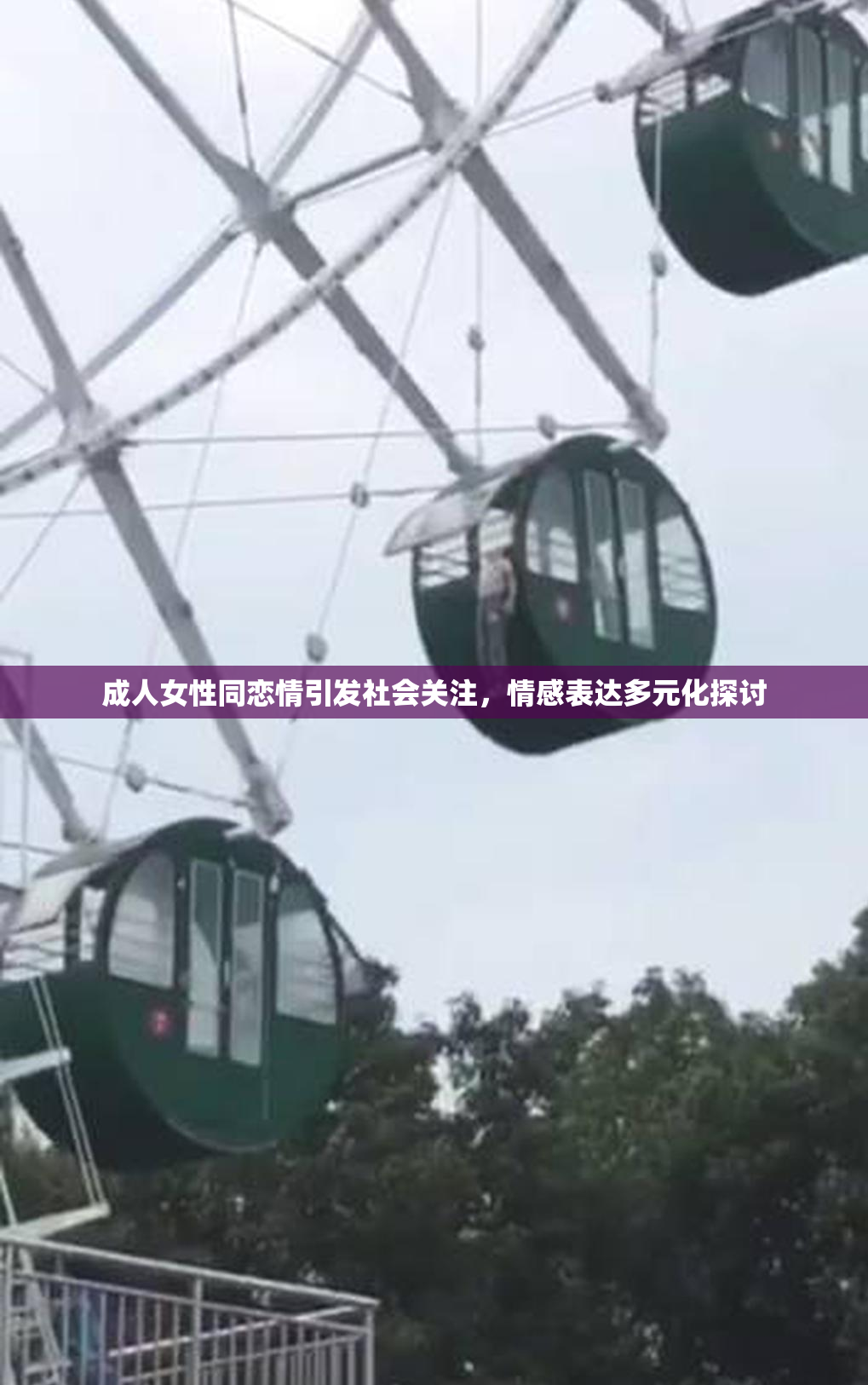 成人女性同恋情引发社会关注，情感表达多元化探讨