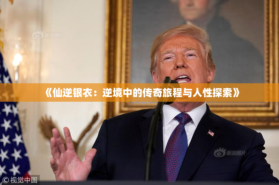 《仙逆银衣：逆境中的传奇旅程与人性探索》