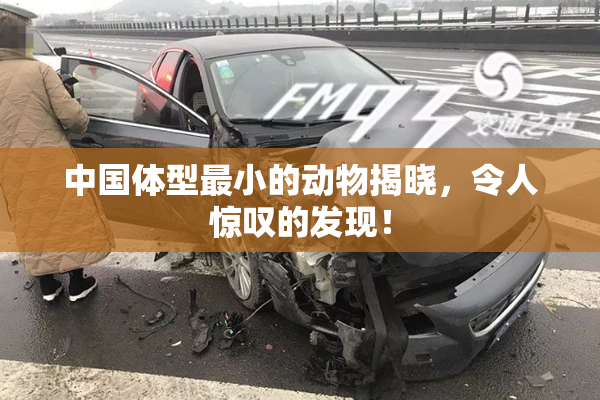 中国体型最小的动物揭晓，令人惊叹的发现！