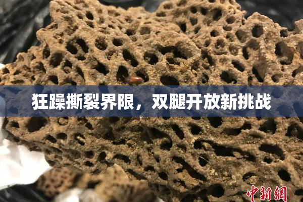 狂躁撕裂界限，双腿开放新挑战