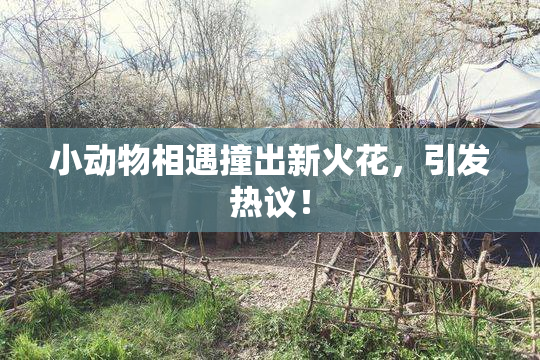 小动物相遇撞出新火花，引发热议！