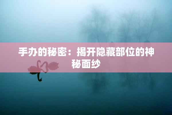 手办的秘密：揭开隐藏部位的神秘面纱