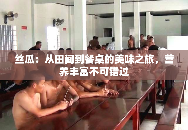 丝瓜：从田间到餐桌的美味之旅，营养丰富不可错过