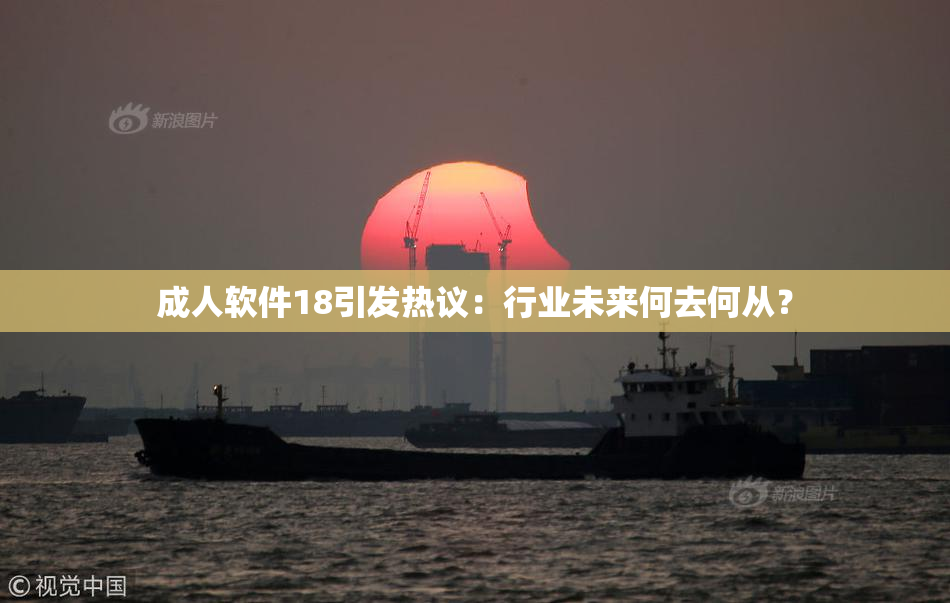 成人软件18引发热议：行业未来何去何从？