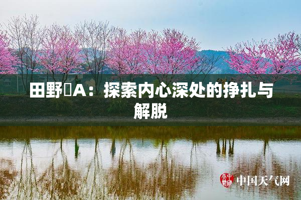 田野憂A：探索内心深处的挣扎与解脱