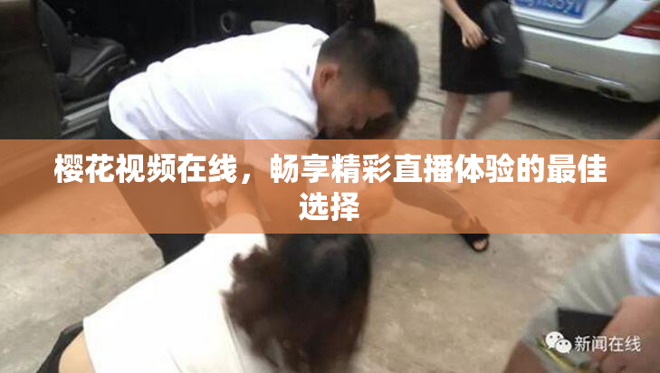 樱花视频在线，畅享精彩直播体验的最佳选择