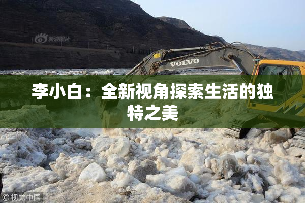 李小白：全新视角探索生活的独特之美