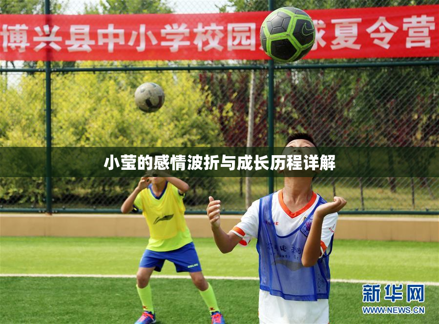 小莹的感情波折与成长历程详解