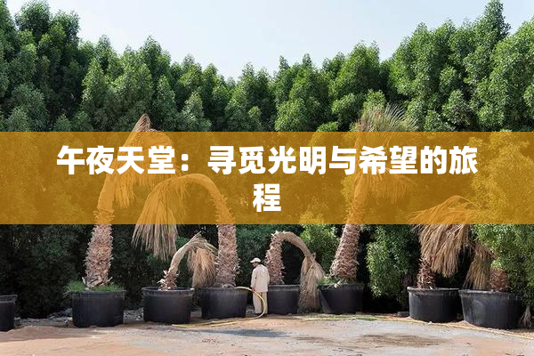 午夜天堂：寻觅光明与希望的旅程