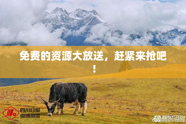 免费的资源大放送，赶紧来抢吧！