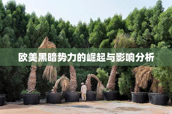 欧美黑暗势力的崛起与影响分析