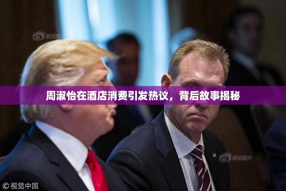 周淑怡在酒店消费引发热议，背后故事揭秘