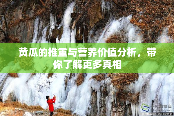 黄瓜的推重与营养价值分析，带你了解更多真相