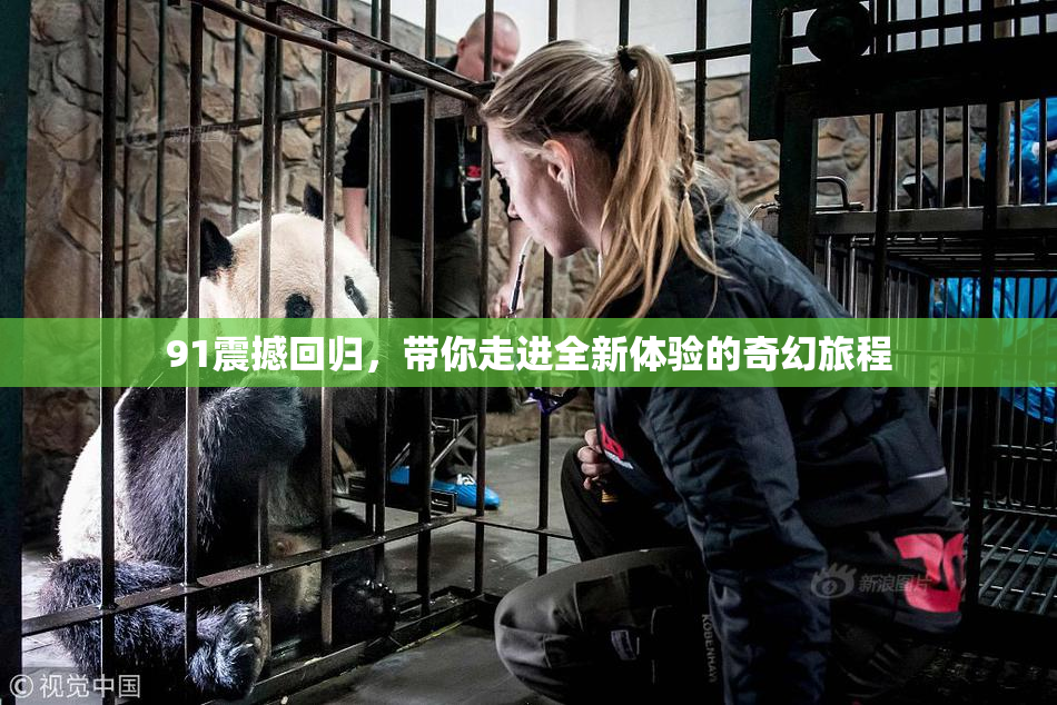 91震撼回归，带你走进全新体验的奇幻旅程
