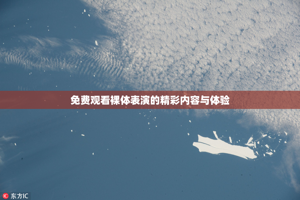免费观看裸体表演的精彩内容与体验