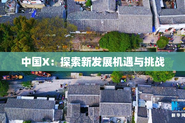 中国X：探索新发展机遇与挑战