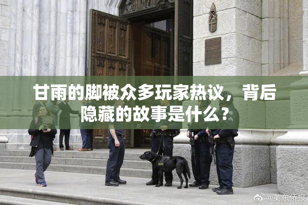 甘雨的脚被众多玩家热议，背后隐藏的故事是什么？