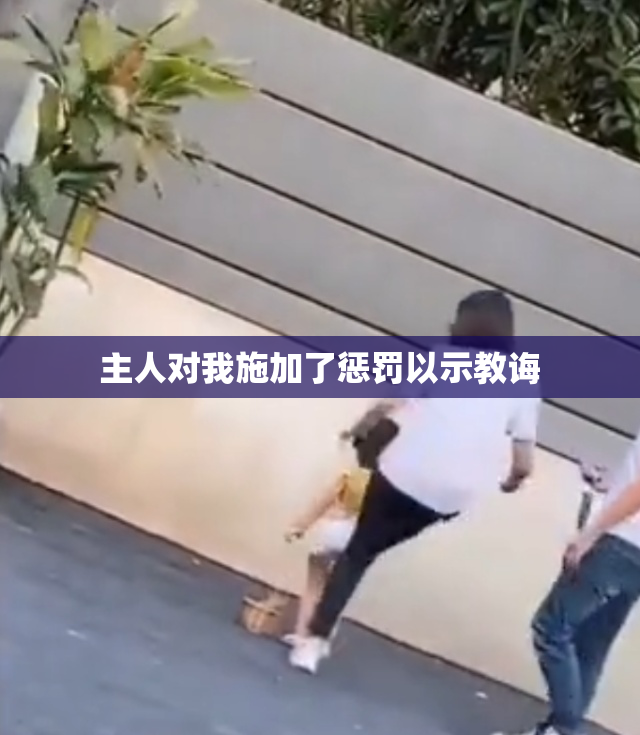 主人对我施加了惩罚以示教诲