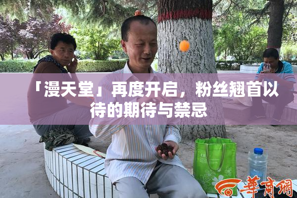 「漫天堂」再度开启，粉丝翘首以待的期待与禁忌