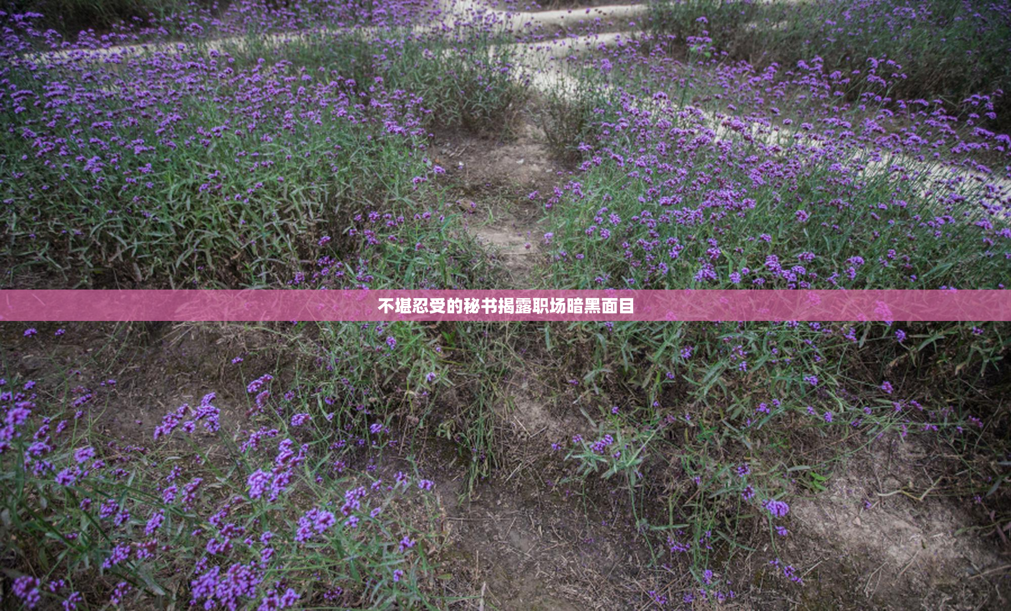 不堪忍受的秘书揭露职场暗黑面目