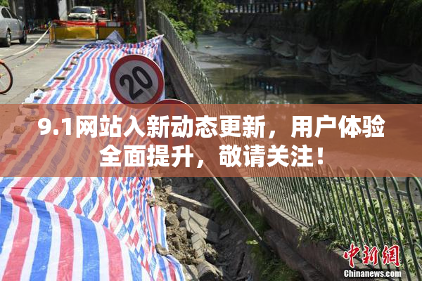 9.1网站入新动态更新，用户体验全面提升，敬请关注！