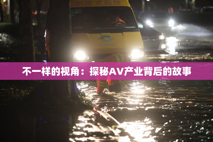 不一样的视角：探秘AV产业背后的故事