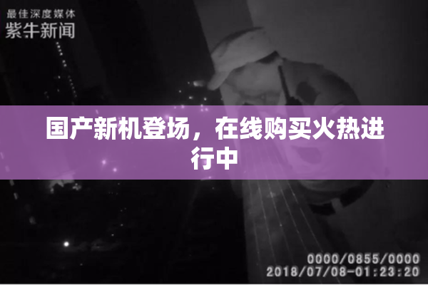 国产新机登场，在线购买火热进行中