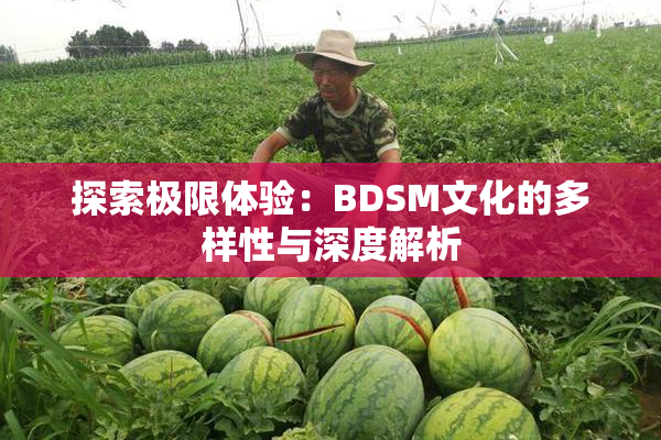 探索极限体验：BDSM文化的多样性与深度解析