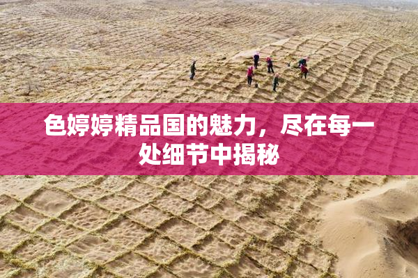 色婷婷精品国的魅力，尽在每一处细节中揭秘