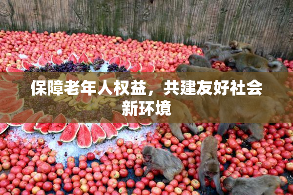保障老年人权益，共建友好社会新环境