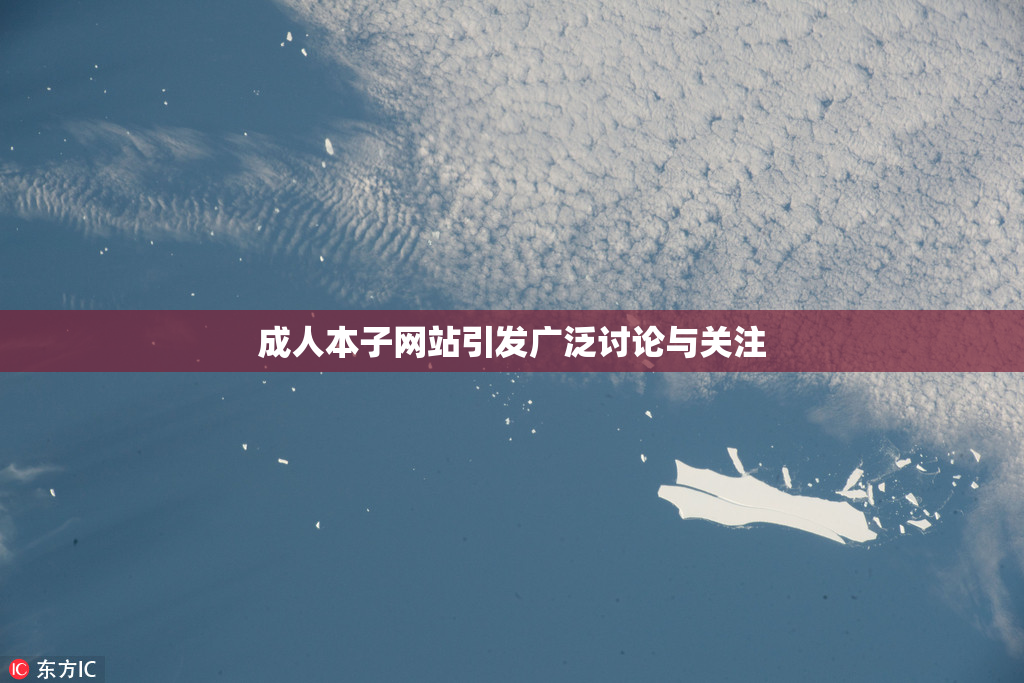 成人本子网站引发广泛讨论与关注