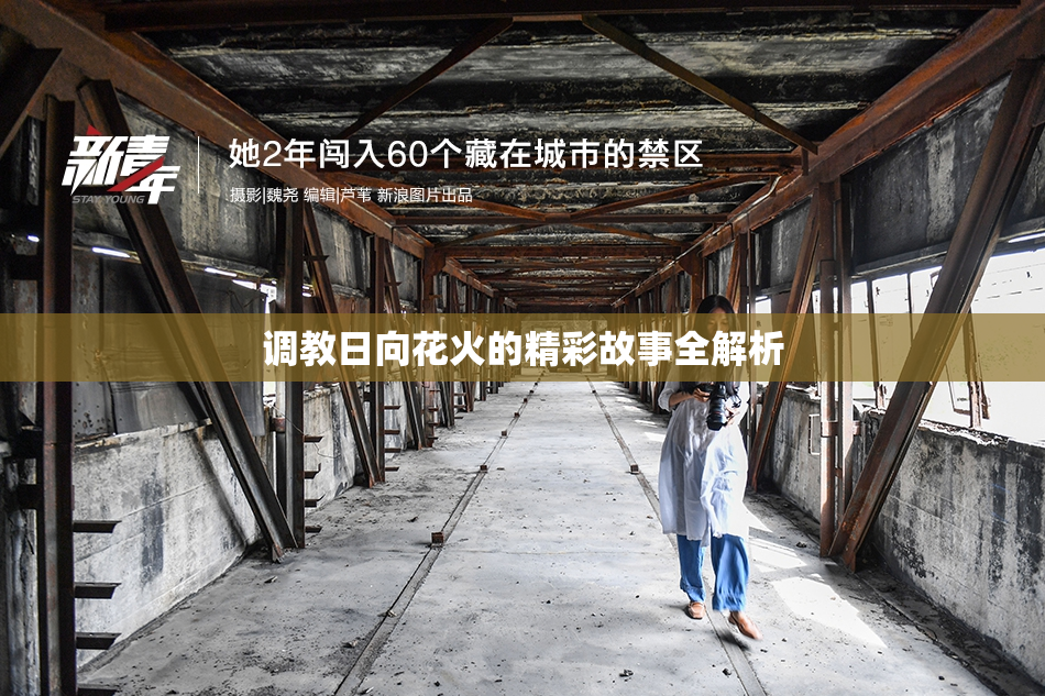 调教日向花火的精彩故事全解析