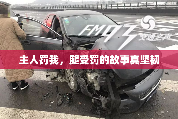 主人罚我，腿受罚的故事真坚韧
