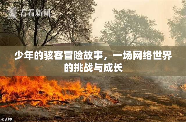 少年的骇客冒险故事，一场网络世界的挑战与成长