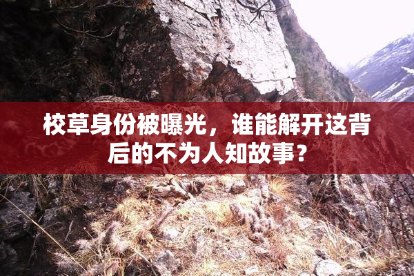校草身份被曝光，谁能解开这背后的不为人知故事？