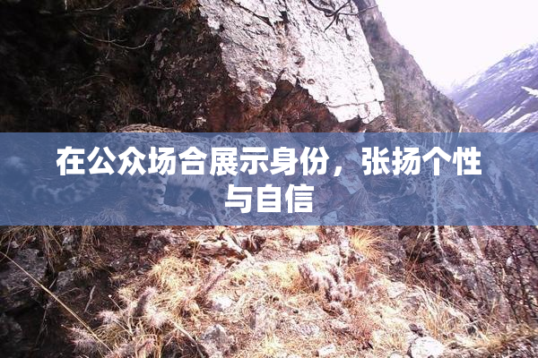 在公众场合展示身份，张扬个性与自信