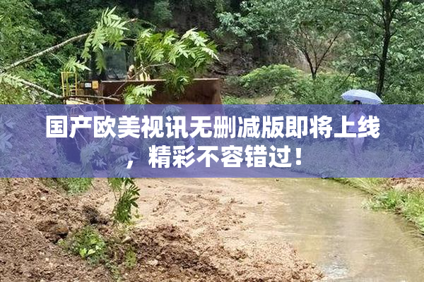 国产欧美视讯无删减版即将上线，精彩不容错过！