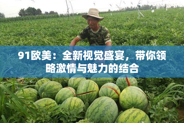 91欧美：全新视觉盛宴，带你领略激情与魅力的结合